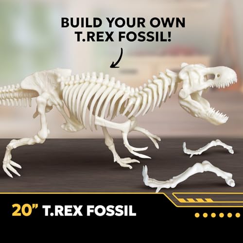 National Geographic Extinction-Dinosaur VR STEM Activity Kit for Kids 8-12