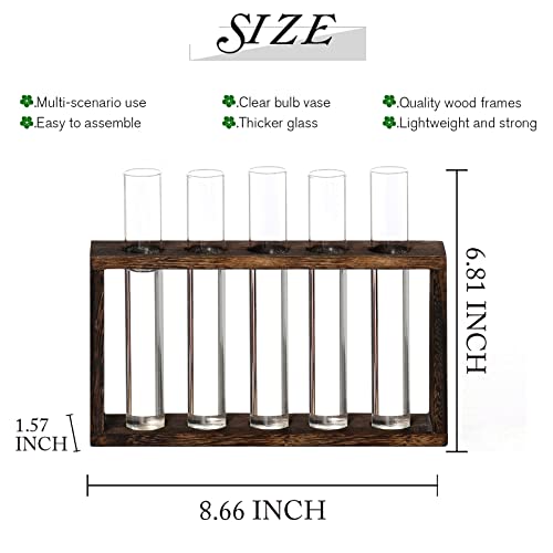 XXXFLOWER Wooden Stand with Test Tube Propagation Station Rack Desktop Hydroponics Terrarium Wall Terrarium for Home Office Plant Hanger Flower Vases Wall Decor Hydroponic Cuttings