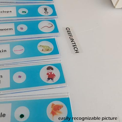 48pcs Plastic Prepared Microscope Slides of Animals Insects Plants Flowers Sample Specimens for Microscopes