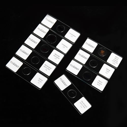 Nervous System Prepared Microscope Slides Set, 9 Pack Nerve Fiber, Motor Neuron, Spinal and More Typical Nervous System Specimens for Biology Science Class