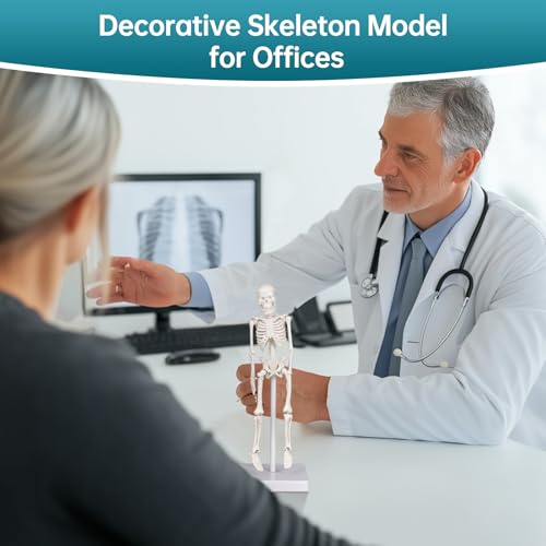 Mini Skeleton Model, 7.8" Small Anatomy Skeleton Figure, Movable Arms and Legs, Human Body Model with Base, Human Bones for Teaching Tool, Decoration (Pack of 2) - size: 7.8" Skeleton model (Pack of 2)