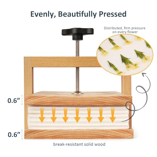 wisedry Flower Press Kit, Easy One-Step Pressing, Even Pressure, 6 Layers, 10 x 6 inch Flower Press Kit for Kids and Adults, Great Gifts for Anyone Who Loves Flowers and Crafts, Gift Box & User Guide