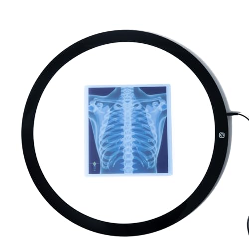 Ice Cream Counting Toy & Human Body X-Ray Set – Number Matching Cones and Anatomy Learning Cards for Kids STEM Education and Classroom Activities