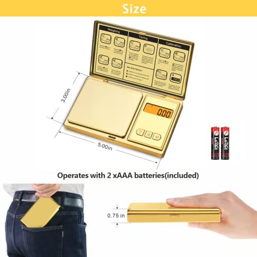 GRAM PRES Digital Pocket Scale 300g/0.01g Accuracy