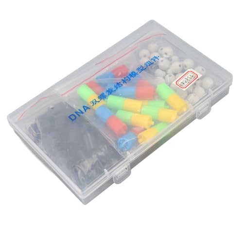 DNA Double Structure Model, Educational DNA Model Kit with Interlocking Segments for Science Teaching and Home Study
