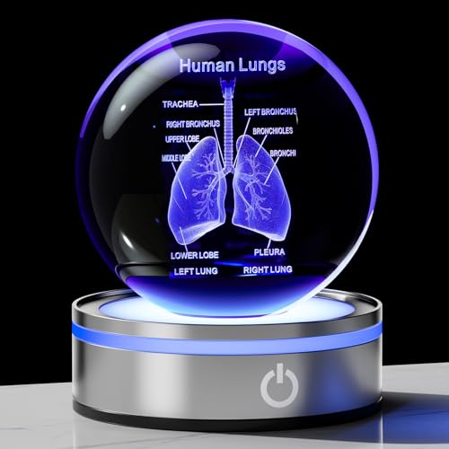 3D Human Lung Model Crystal Ball Doctor Gifts for Women Men, Laser Etched Glass Anatomical Lung Figurine Science Biology Surgeon Decor Graduation Gifts for Medical Student with LED Base - color: Lung