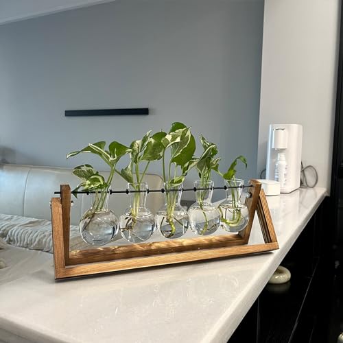 Kingbuy Plant Propagation Station with 5 Bulb Vases - size: 5 Bulb Vase