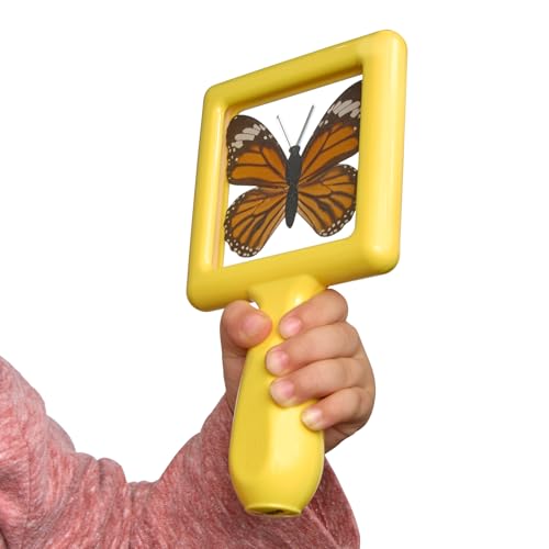 Environments Toddler, Preschool Early STEM, Specimen Viewers for Kids, Science Education Set of 4 - style: Specimens Set #4