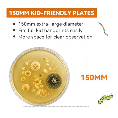 Kids Bacteria Handprint Kit - 2 Giant 150mm Prepoured Agar Petri Dishes - color: Kids Bacteria Handprint Kit