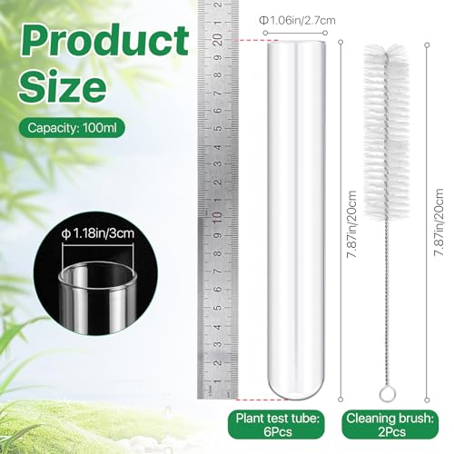 6 Pcs 100ml/3.38oz Glass Test Tubes, 30x200mm Glass Tubes for Plants, Plant Propagation Tube with Brush, Clear Test Tube for Scientific Experiments, Party, Desktop, Home Office Decoration