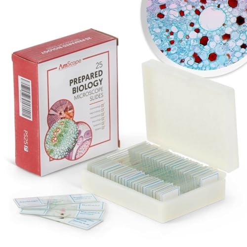 AmScope PS25P Prepared Microscope Slides, Plastic Case, 25pc - color: White