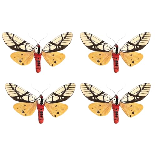 4 Real Milky Tiger Moth Specimens Unmounted Open Wings BU14X4 - color: 4 Butterfly #14