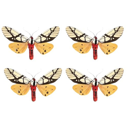 4 Real Milky Tiger Moth Specimens Unmounted Open Wings BU14X4 - color: 4 Butterfly #14