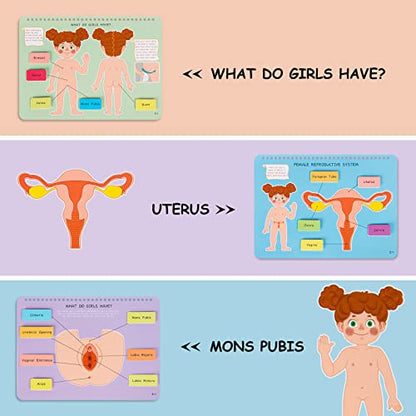Freebear Montessori Busy Book for Kids, Human Body Anatomy Book for Toddlers, Preshool Kindergarten Learning Activities, Autism Sensory Toys, Gifts for Girls and Boys 4-7 Years- Human Body Procreation - style: Human Body Procreation