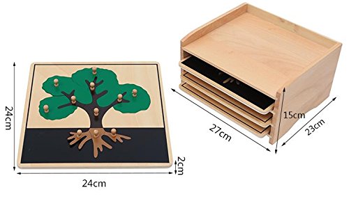 Adena Montessori Materials Botany Puzzle Cabinet (3 Puzzles Included)