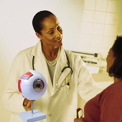6X Enlarged Eyeball Model, Eye Anatomy Model, Human Eye Anatomical Model for Medical, Educational, or Teaching, with Detailed Product Manual