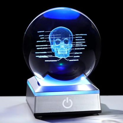 3D Human Skull Crystal Ball Etched Anatomical Skull Model, with Light Base - color: Skull Anatomy Model