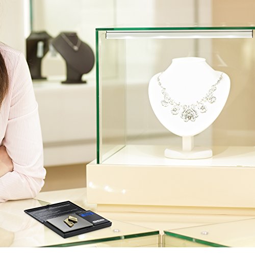 Smart Weigh Digital Pocket Scale, 1000g x 0.1g, Jewelry and Coins - size: 1000g / 0.1g