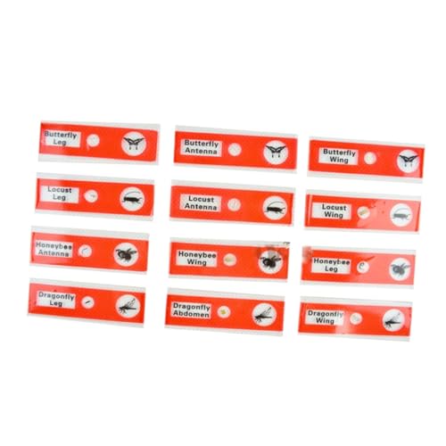 Kids Microscope Accessories 12pcs Plastic Slides Prepared Specimens Set