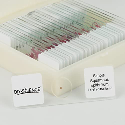 Mammal Anatomy Organ Tissue Specimens, 25 Similar to Human Tissue Prepared Microscope Slides Set for Students Hobbyists Beginners (Mammal Specimens) - style: Mammal Specimens