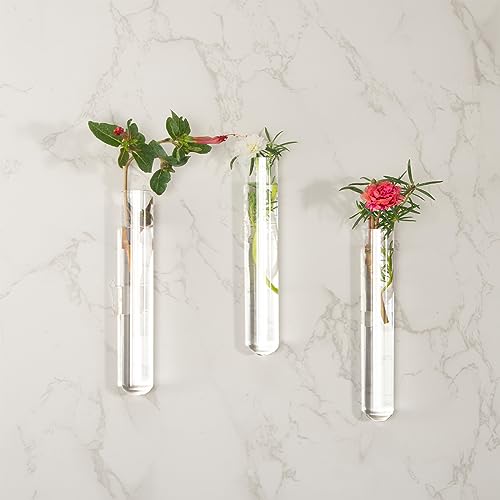 30pcs 35ml Glass Test Tubes 20 x 150mm with Cork Stoppers and Brush for Scientific Experiments and Plant Propagation Test Tubes - size: 20X150mm/35ml 30pcs