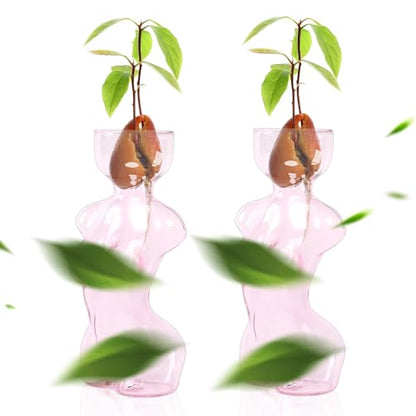 Plant Propagation Jars Unique Body Avocado Vase - color: Pink