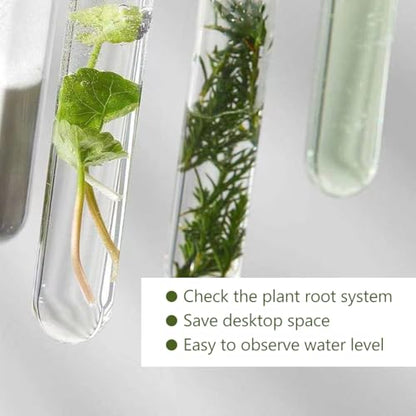 8 Pcs Glass Plant Propagation Test Tubes, Glass Tubes for Plants Plant Propagation Large Test Tube Tubes Hydroponic Test Tube for Hydroponic Flowers Home Office Desktop Decoration (15cm)