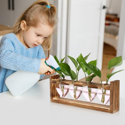 Plant Propagation Stations Heart Plant Terrarium Kit - color: Pink