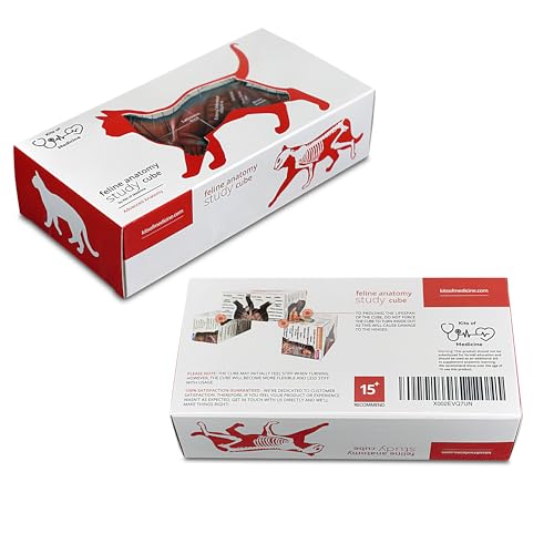 Feline Anatomy Study Cube – 3D Cat Learning Model with Muscles, Skeleton & Organs | Foldable Cat Anatomy Study Cube for Vet Students, Teachers & Animal Lovers