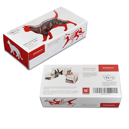 Feline Anatomy Study Cube – 3D Cat Learning Model with Muscles, Skeleton & Organs | Foldable Cat Anatomy Study Cube for Vet Students, Teachers & Animal Lovers