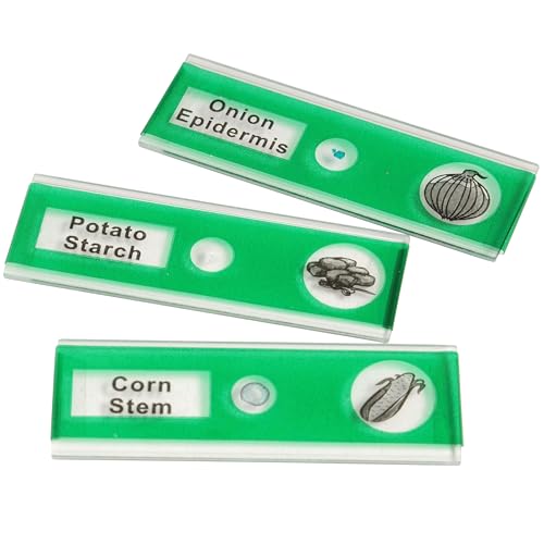 Prepared Microscope Slides for Kids – 24 Plastic Plant & Vegetable Specimens with Labels & Images – Safe, Durable Biology Science Kit for Students Ages 8+ - size: Plant & Vegetable -24 pc