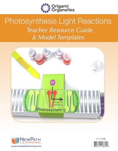 NewPath Photosynthesis & Light Reactions 3-D Paper Model Making Kit - Individual Student Edition (24-7728)