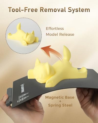 FLASHFORGE Adventurer 5M/5M Pro/AD5X PEI Build Plate,Magnetic Flexible Heated Bed Platform with Dual-Texture Coating - Powder-Coated&Painting Surface,Tool-Free Removal,for PLA/PETG/TPU/ABS/ASA/PC/CF - style: PEI Powder-Coated Build Plate