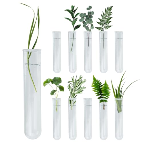 8 Pcs Glass Plant Propagation Test Tubes, Glass Tubes for Plants Plant Propagation Large Test Tube Tubes Hydroponic Test Tube for Hydroponic Flowers Home Office Desktop Decoration (15cm)