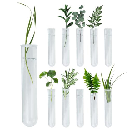 8 Pcs Glass Plant Propagation Test Tubes, Glass Tubes for Plants Plant Propagation Large Test Tube Tubes Hydroponic Test Tube for Hydroponic Flowers Home Office Desktop Decoration (15cm)