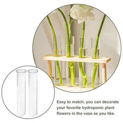Kisangel 4pcs Plant Glass Test Tube, Clear Plant Propagation Tubes Hydroponic Glass Flower Vases for Home Garden Arrangement Water