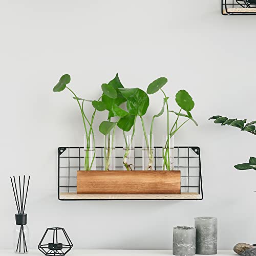 YIBOT Plant Propagation Station, Plant Terrarium with Wooden Stand - color: Brown, size: 8.7"L x1.6"W x2"H