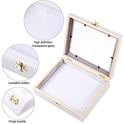 Willbond Insect Display Case Bug Box with Clear Lid, White - color: White