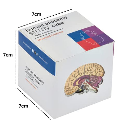 Human Anatomy Study Cube | Study 9 Parts of The Human Body | Perfect Anatomy Revision Guide | Addictive Anatomy Model Cube | Great Gift for Nurse, Dentist, Medical Students