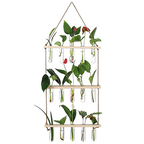 YIBOT Plant Propagation Stations with Wooden Stand 15 Glass Test Tubes Vase - color: Beige, size: 14"L x 14"W x 35"H