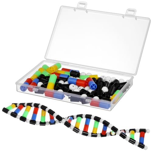 Generic DNA Model Double Helix Model Removable Molecular Kit for Science Class Biology Classroom Display Science Models for Students and Learning