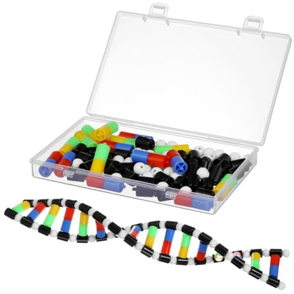 Generic DNA Model Double Helix Model Removable Molecular Kit for Science Class Biology Classroom Display Science Models for Students and Learning