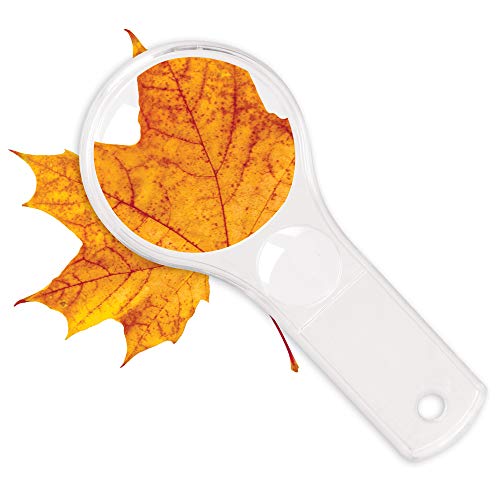 Learning Resources Dual Lens Magnifiers, Set of 10