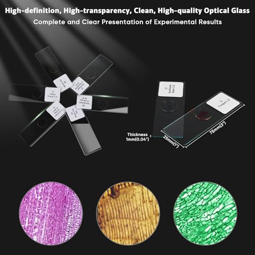30 Prepared Microscope Slides with Specimens,Glass Slides for Microscope,Prepared Slides Microscope,Microscope Slide Preparation Kit for Biology Science Classes - size: 30 pcs