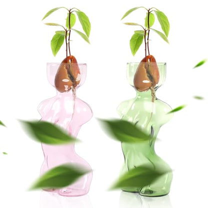 Plant Propagation Jars Unique Body Avocado Vase - color: Pink Green