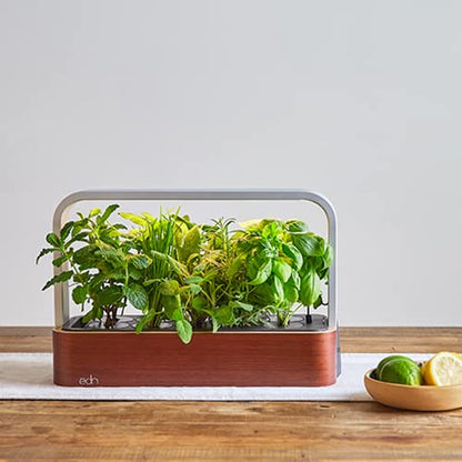 edn Indoor Smart Garden with Basil SeedPods for iOS Devices