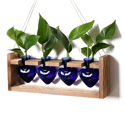 Plant Propagation Stations Heart Plant Terrarium Kit - color: Blue