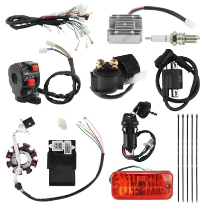 PRO BAT Full Lifan 200cc Wiring Harness 8-Coil Stator AC CDI Tail Light - color: W Spark Plug & B Ignition Coil & S Rectifier