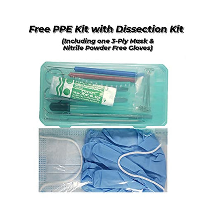 24-Piece Biology Dissection Kit with Stainless Steel Lab Tools & Case