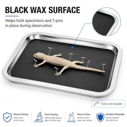 iplusmile 6 Pack Dissection Trays with Black Wax 10.2" x 7.5" Black - color: Black